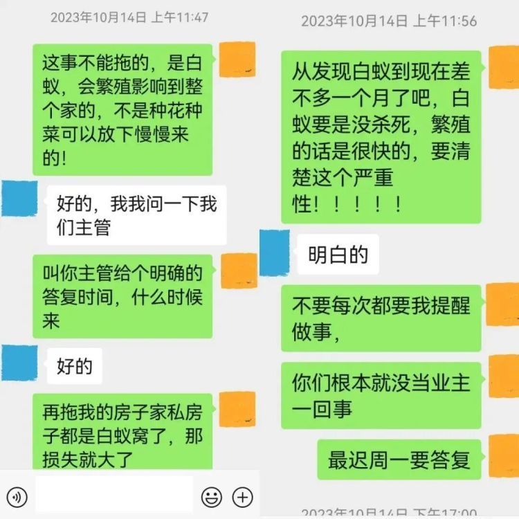 白蚁入侵毁家，业主拒交7000多元物业费被起诉，法院判了