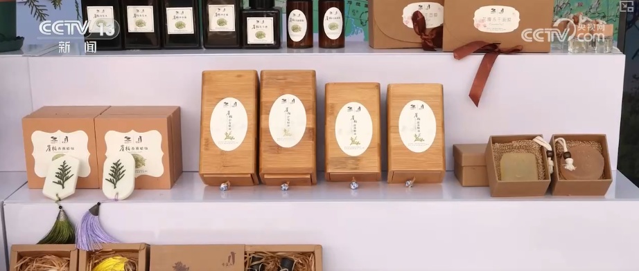 既当生态“修补匠”又当经济“惠民树” 科技赋能让生态护林“如虎添翼”