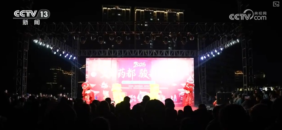 多彩集市透着浓浓年味藏着经济活力 品质升级助力“年经济”焕彩焕新