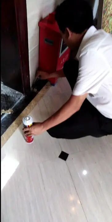 白蚁入侵毁家，业主拒交7000多元物业费被起诉，法院判了