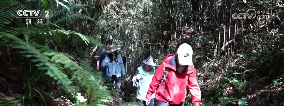 露营、滑雪升温撬动万亿级市场“多点开花” 装备企业顺势发力多维扩容