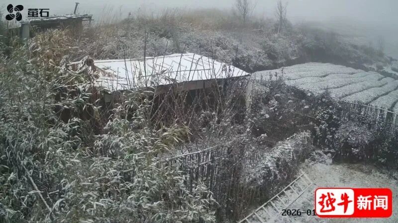 一觉醒来，绍兴又下雪了！