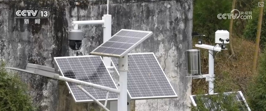 既当生态“修补匠”又当经济“惠民树” 科技赋能让生态护林“如虎添翼”