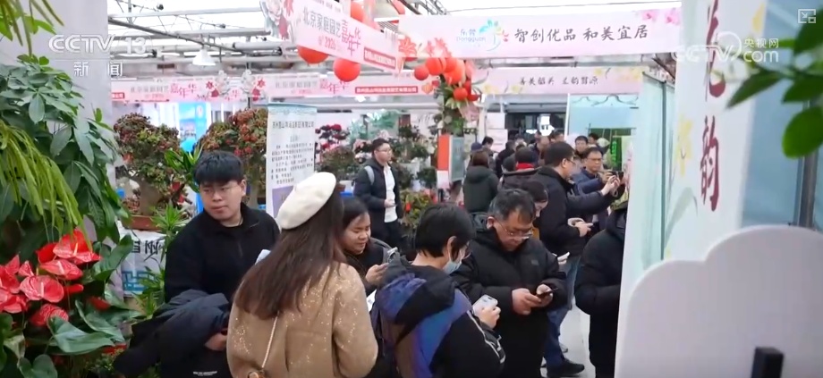 打开赏花地图看繁花美景聚人气、多元场景带旺消费 打开赏花地图看繁花美景聚人气、多元场景带旺消费