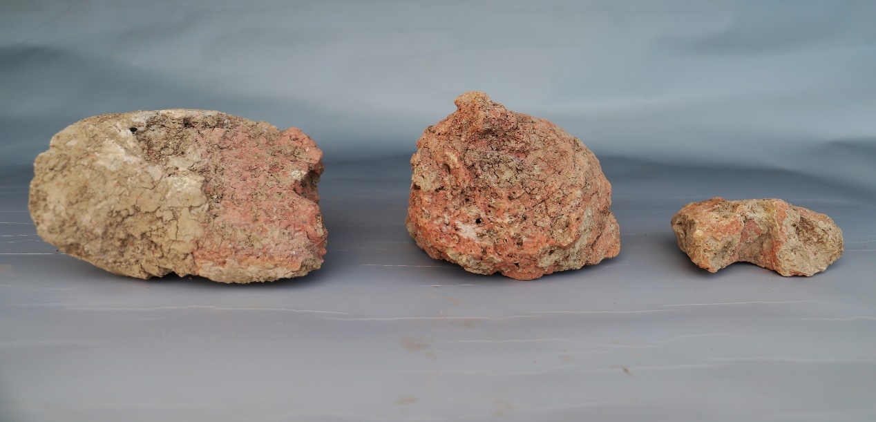 2025年度浙江考古重大发现揭晓