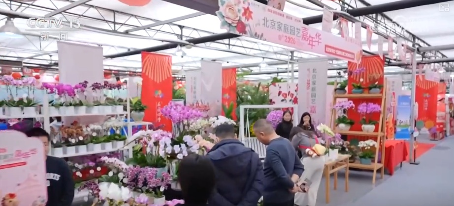 打开赏花地图看繁花美景聚人气、多元场景带旺消费 打开赏花地图看繁花美景聚人气、多元场景带旺消费