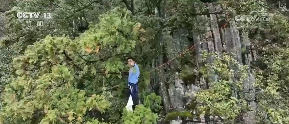 既当生态“修补匠”又当经济“惠民树” 科技赋能让生态护林“如虎添翼”