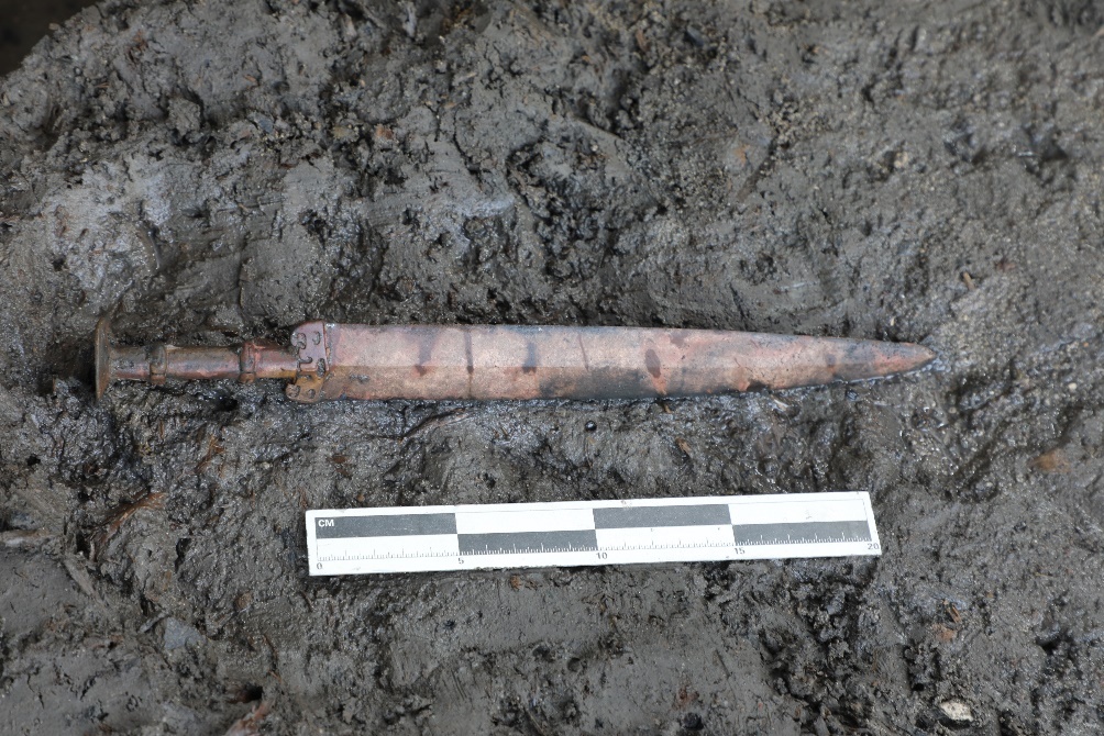 2025年度浙江考古重大发现揭晓