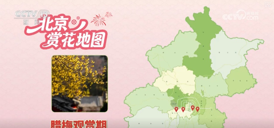 打开赏花地图看繁花美景聚人气、多元场景带旺消费 打开赏花地图看繁花美景聚人气、多元场景带旺消费