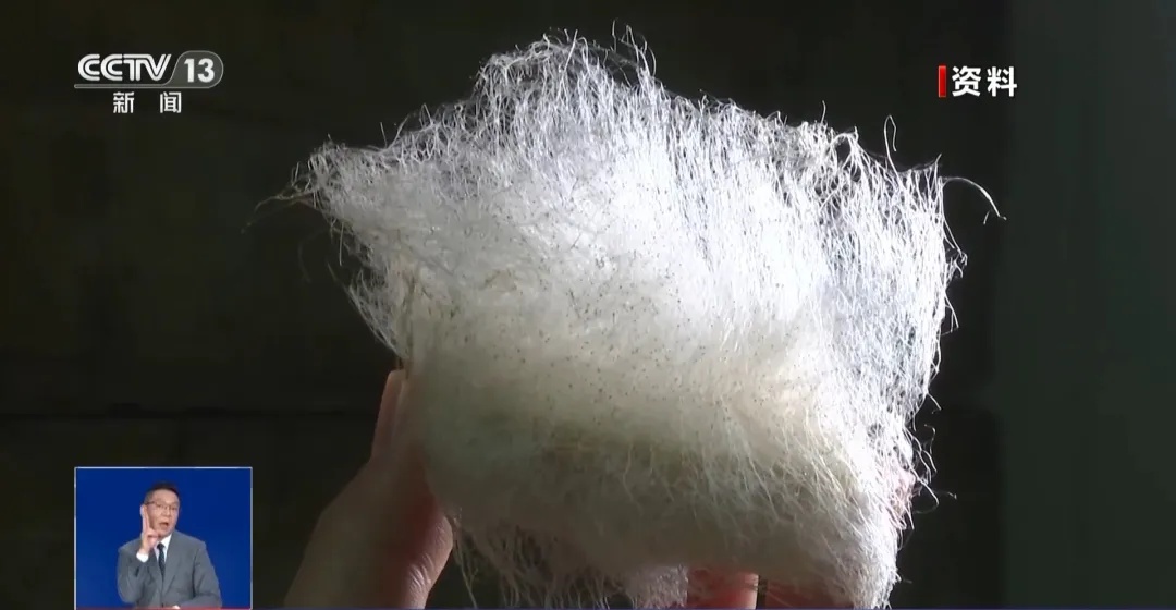 全网跟风制作，发霉了也能吃？专家提醒：不要在家尝试