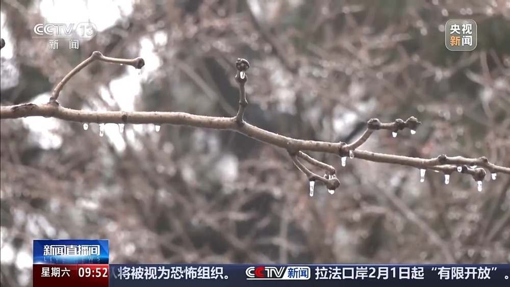结冰的湖面可能暗藏风险 收好这份防范自救指南