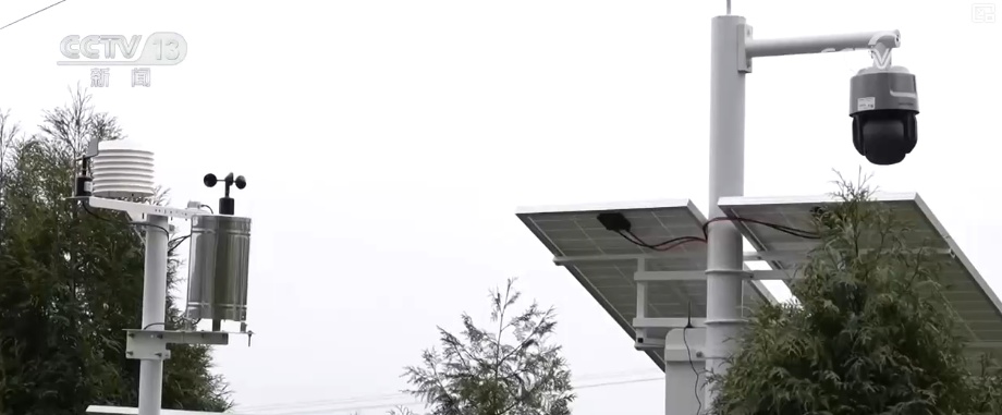 既当生态“修补匠”又当经济“惠民树” 科技赋能让生态护林“如虎添翼”