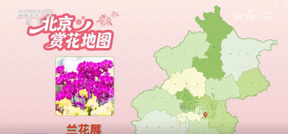 打开赏花地图看繁花美景聚人气、多元场景带旺消费 打开赏花地图看繁花美景聚人气、多元场景带旺消费