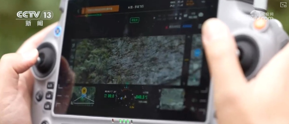 既当生态“修补匠”又当经济“惠民树” 科技赋能让生态护林“如虎添翼”
