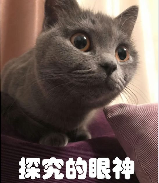 房屋交付后，产权证多久到手才不算“逾期”？