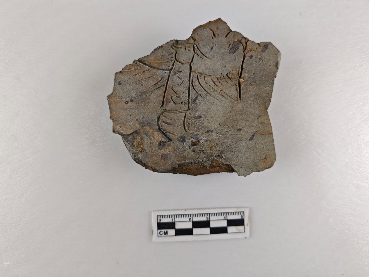 2025年度浙江考古重大发现揭晓