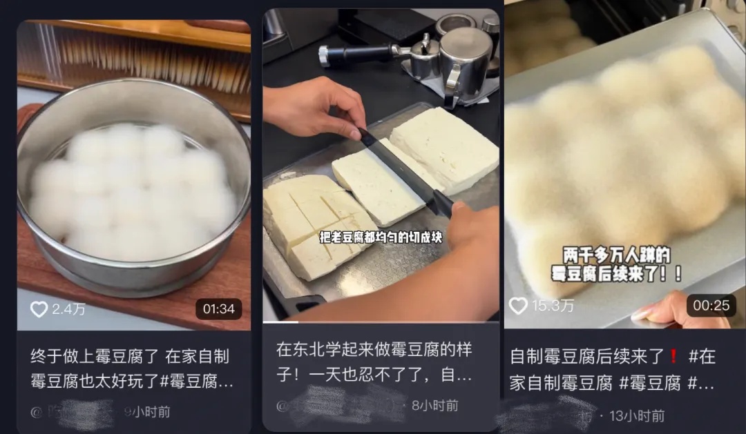 全网跟风制作，发霉了也能吃？专家提醒：不要在家尝试