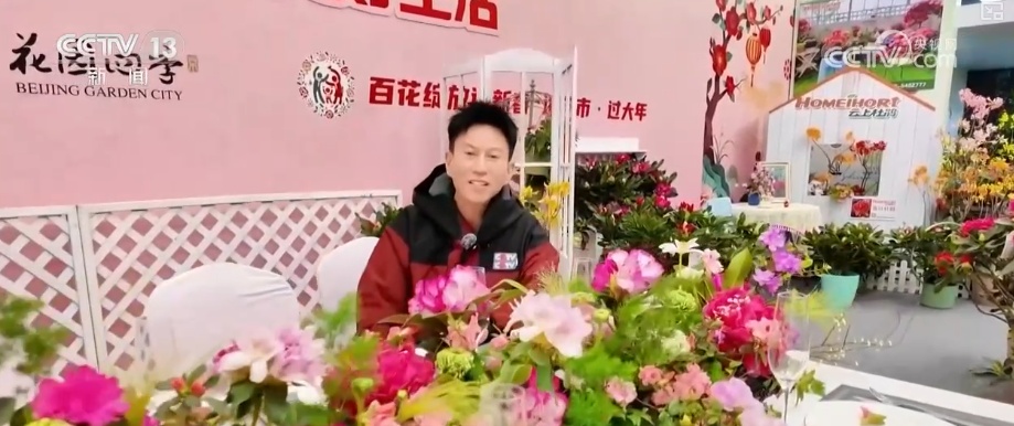 打开赏花地图看繁花美景聚人气、多元场景带旺消费 打开赏花地图看繁花美景聚人气、多元场景带旺消费