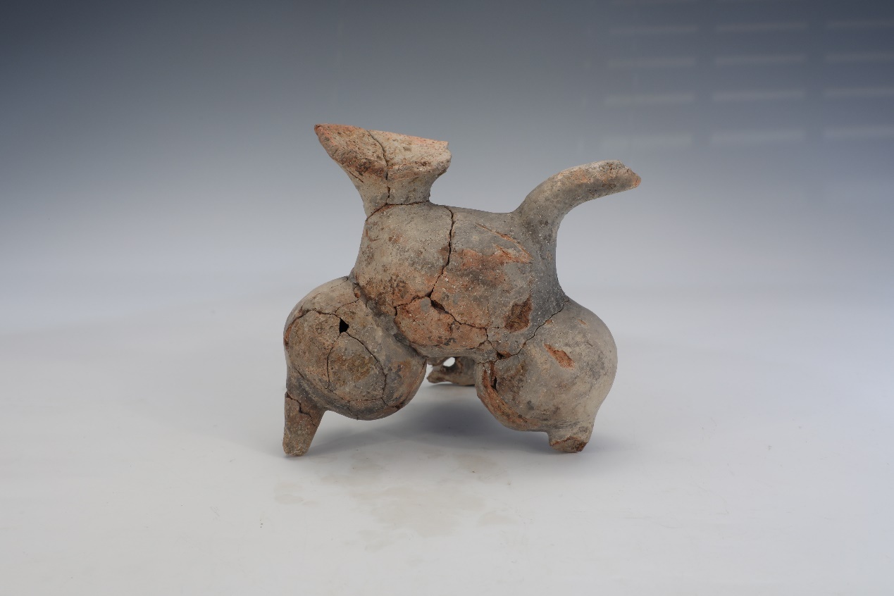 2025年度浙江考古重大发现揭晓