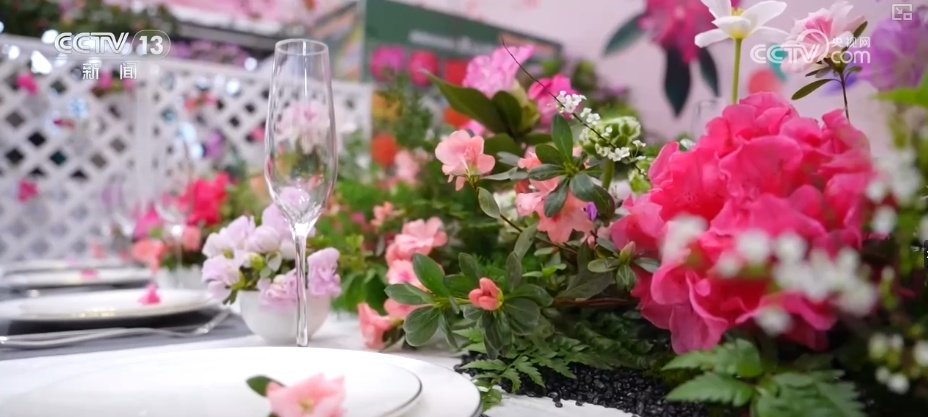 打开赏花地图看繁花美景聚人气、多元场景带旺消费 打开赏花地图看繁花美景聚人气、多元场景带旺消费