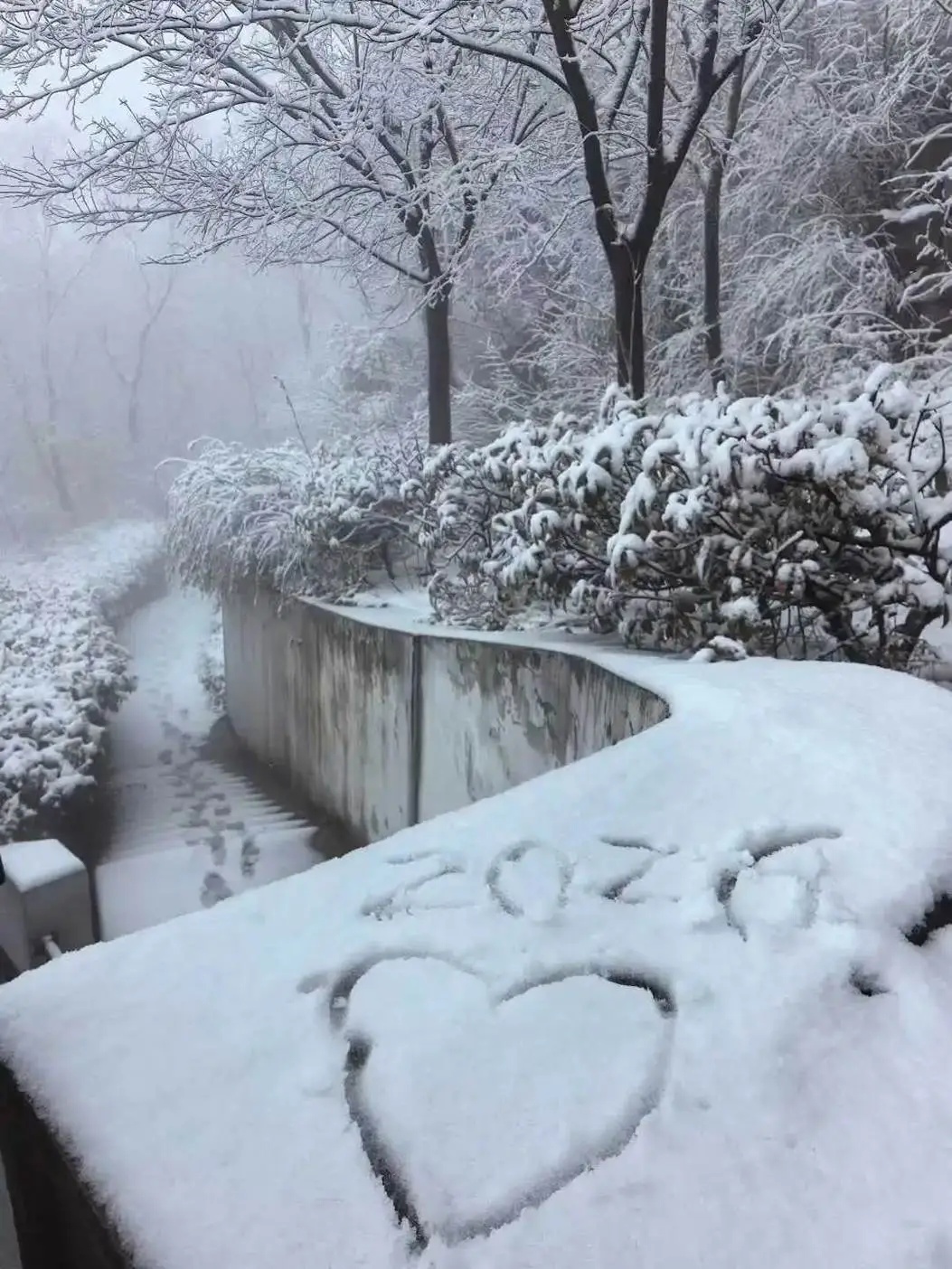 雨雪过后下周立春，江苏最高气温冲刺17℃！