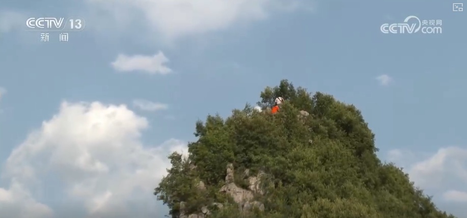 既当生态“修补匠”又当经济“惠民树” 科技赋能让生态护林“如虎添翼”