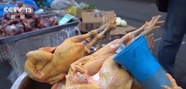 “冰”糖葫芦、“冰糖”葫芦？网友热议东北“冻货”正宗吃法