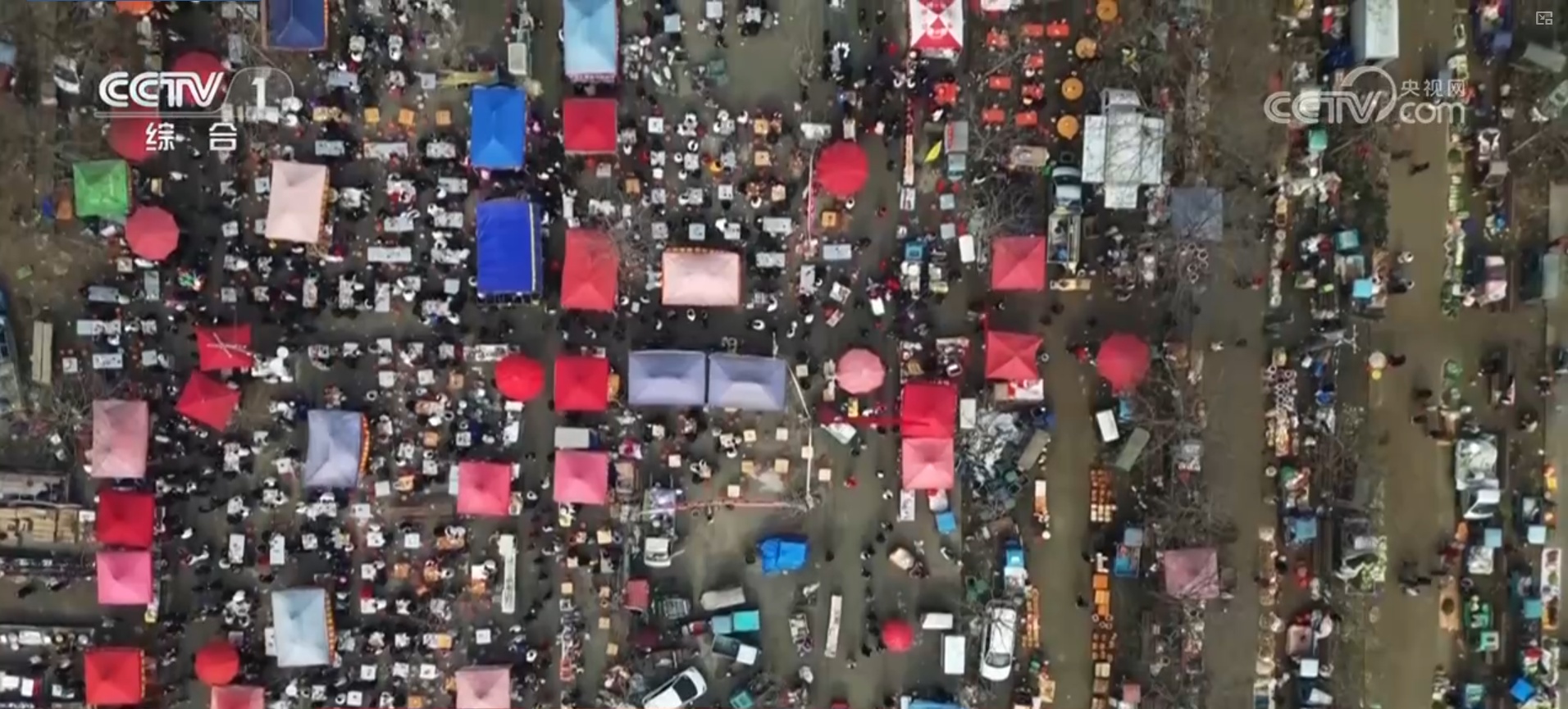 市场火、消费热、“马”上迎新春!各地举办多彩活动点亮传统中国年 市场火、消费热、“马”上迎新春!各地举办多彩活动点亮传统中国年