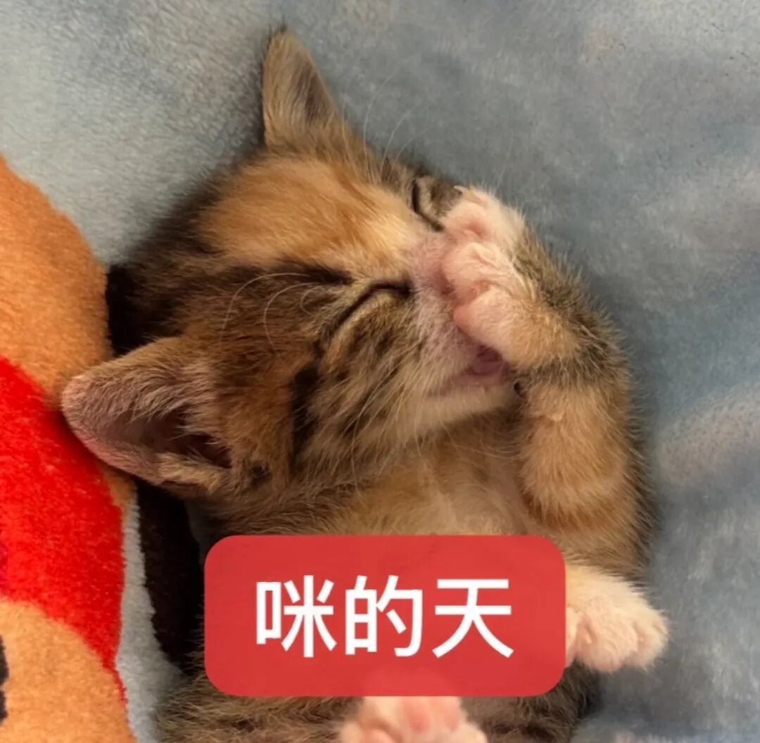 网友：本人真迹，概不出售！