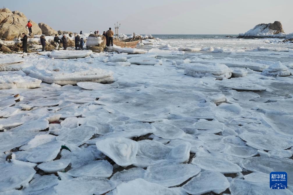 河北秦皇岛：海冰引客来