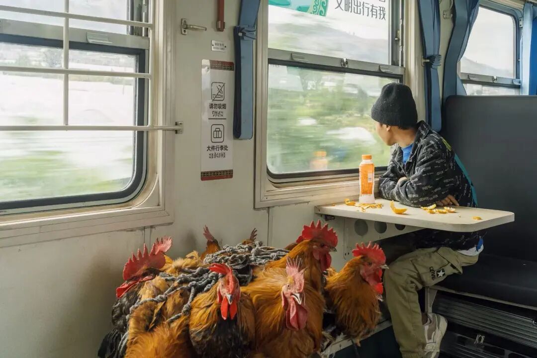 “妈妈背着一竹篓松茸上了火车，遇见了爸爸……”