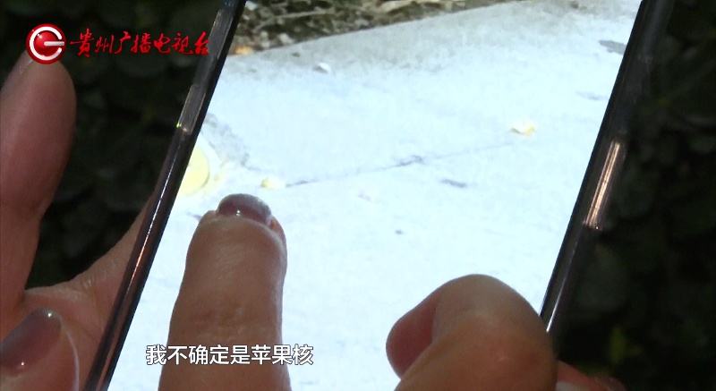 太嚣张！高空抛苹果砸到人，被指责后竟又扔一个！贵阳一小区业主：这完全是在挑衅大家