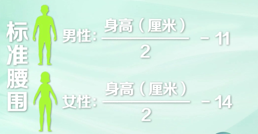 快自查！身体的这两个尺寸，与健康密切相关