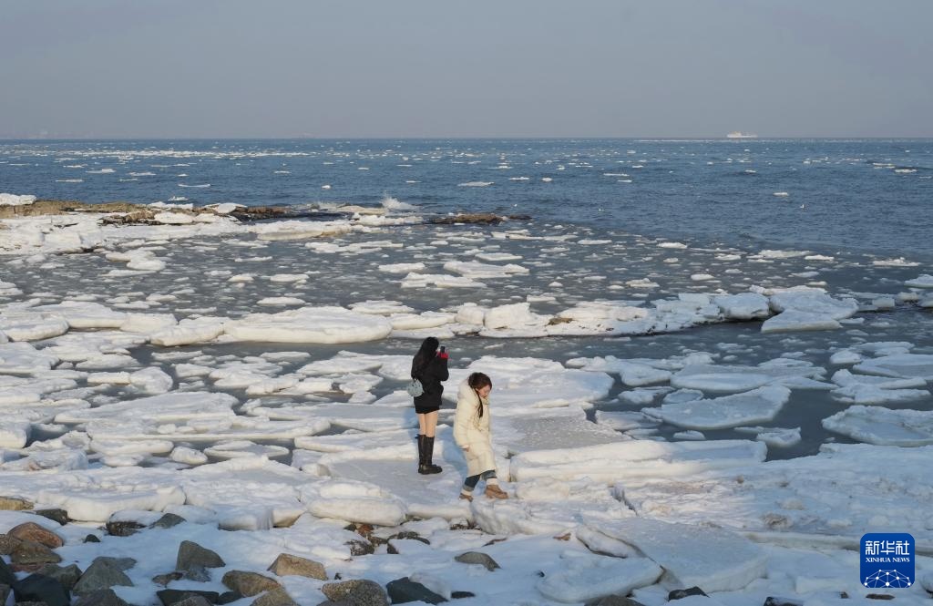 河北秦皇岛：海冰引客来