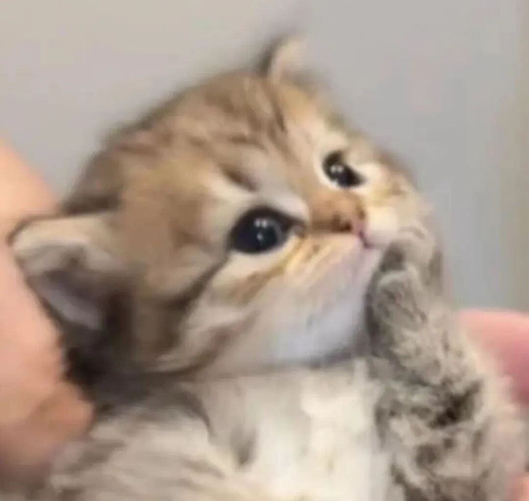 “我是爸妈爷爷奶奶姥姥姥爷……宝女”