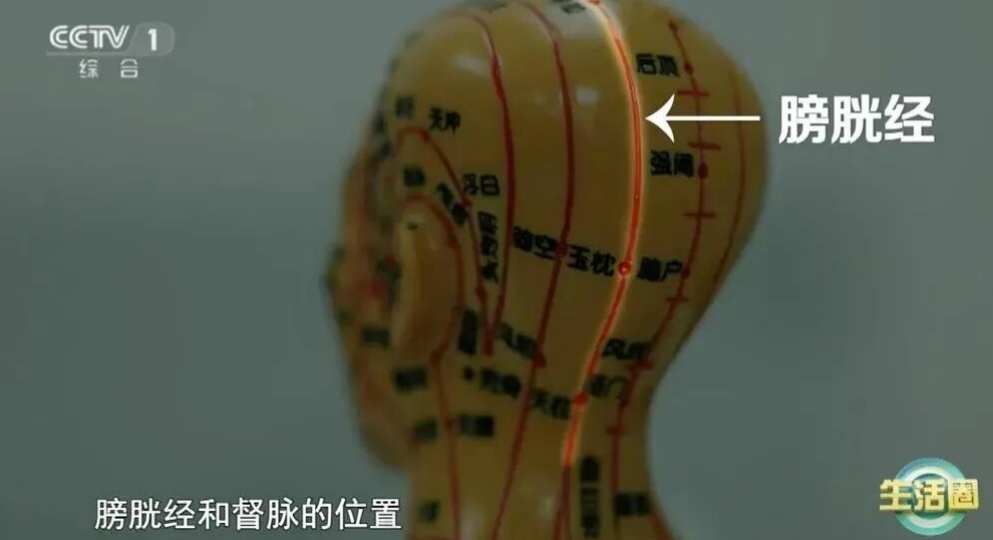 白发长哪里，病就藏哪里！别不信，你的身体早已通过白发向你“报警”！