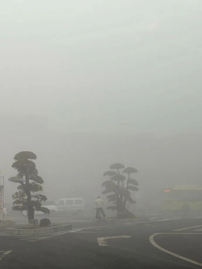 浓雾强浓雾!大雾黄色预警!冀鲁豫皖浙出行“雾”必小心 浓雾强浓雾!大雾黄色预警!冀鲁豫皖浙出行“雾”必小心