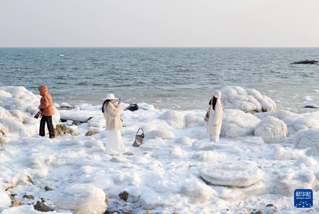 河北秦皇岛：海冰引客来
