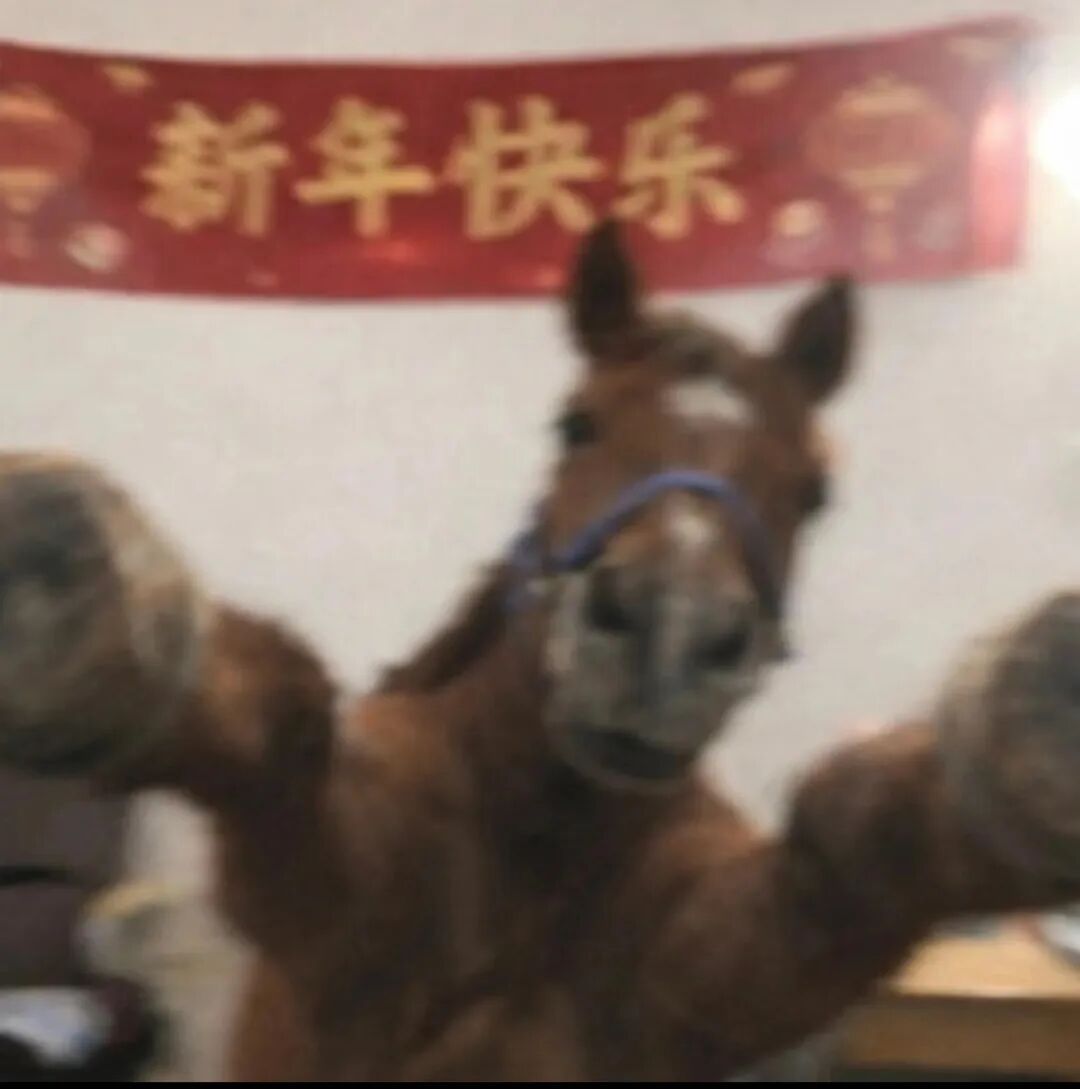 网友：本人真迹，概不出售！