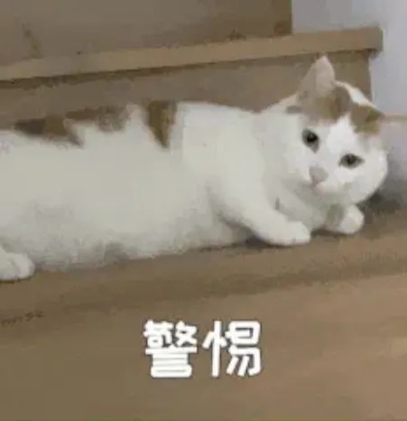 年前“大扫除”要警惕，这些清洁剂别“混搭”！6岁女孩发烧17天，医生紧急提醒...