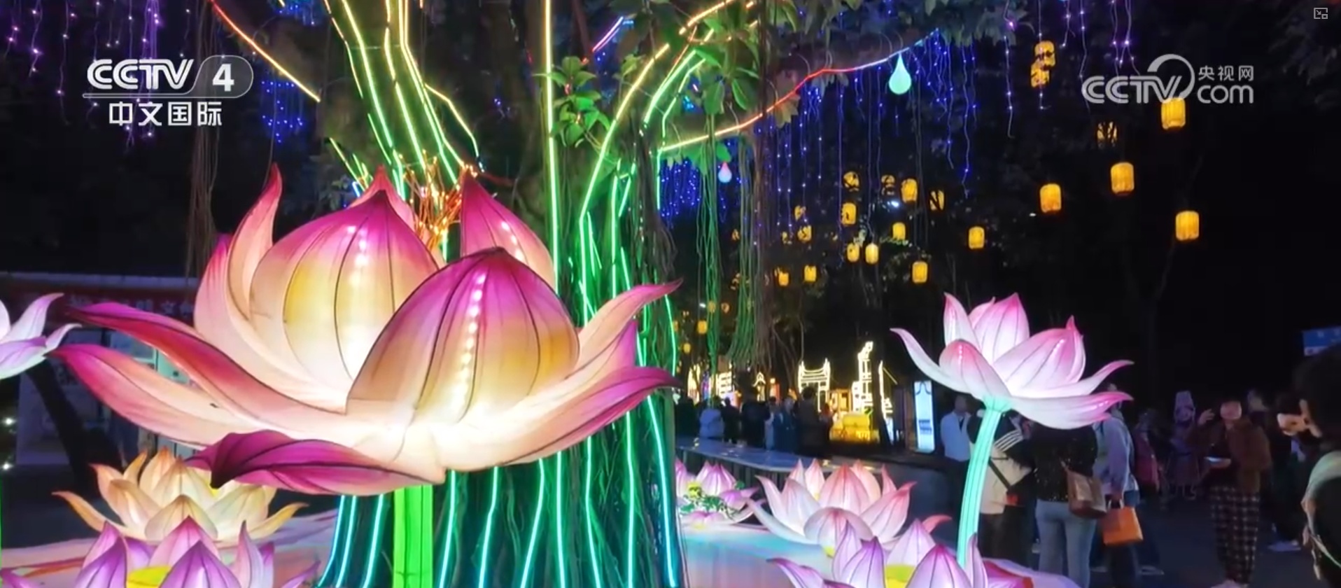 办年货、赏民俗、观花灯，新年氛围感已拉满！“年经济”释放强大消费潜力