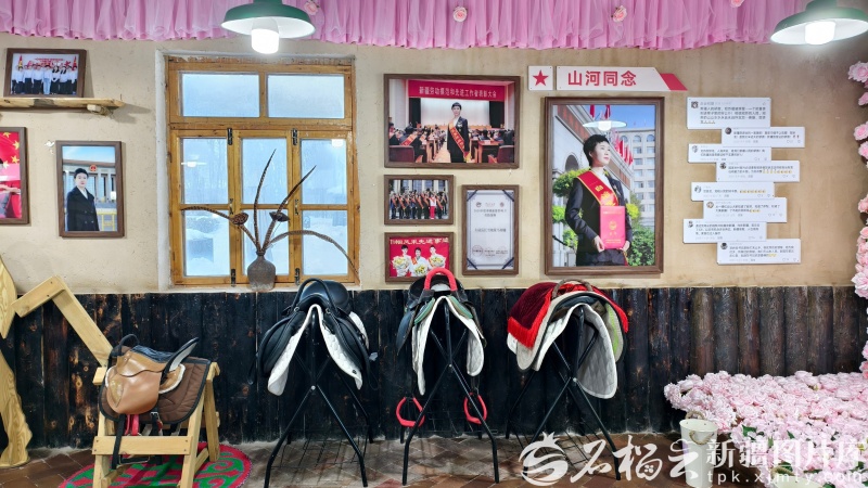 “娇龙”月季，将“落户”新疆昭苏