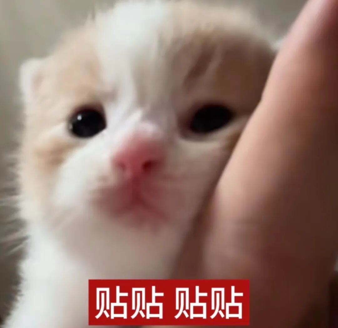 “我是爸妈爷爷奶奶姥姥姥爷……宝女”