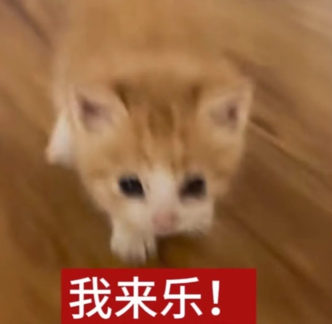 “我是爸妈爷爷奶奶姥姥姥爷……宝女”