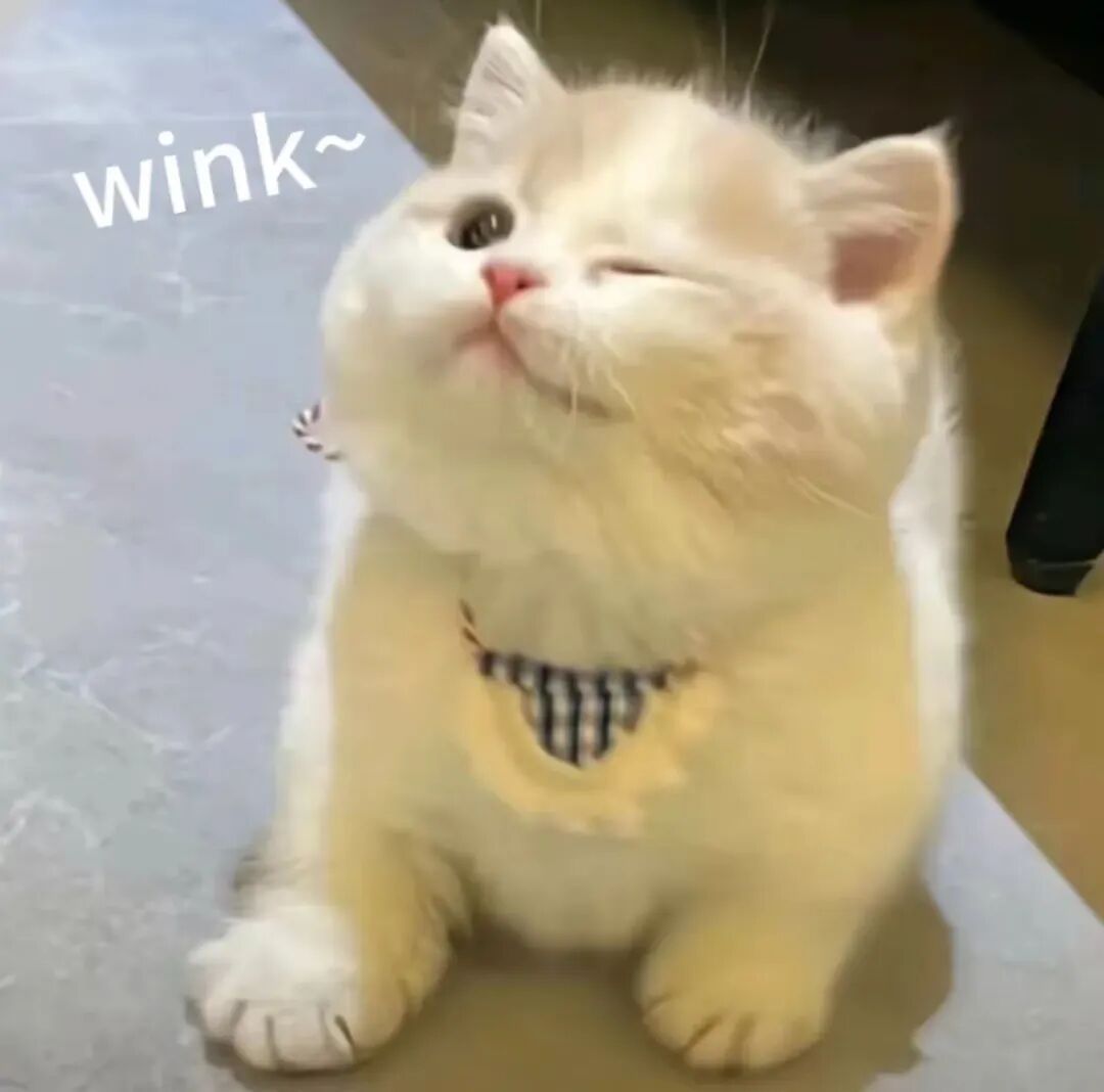 “我是爸妈爷爷奶奶姥姥姥爷……宝女”