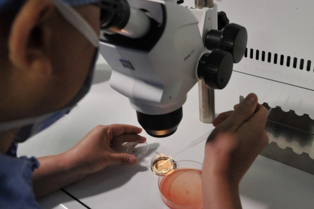 才26岁！女子查出乳腺癌！选择冷冻卵子