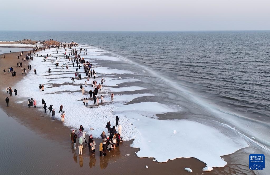 河北秦皇岛：海冰引客来