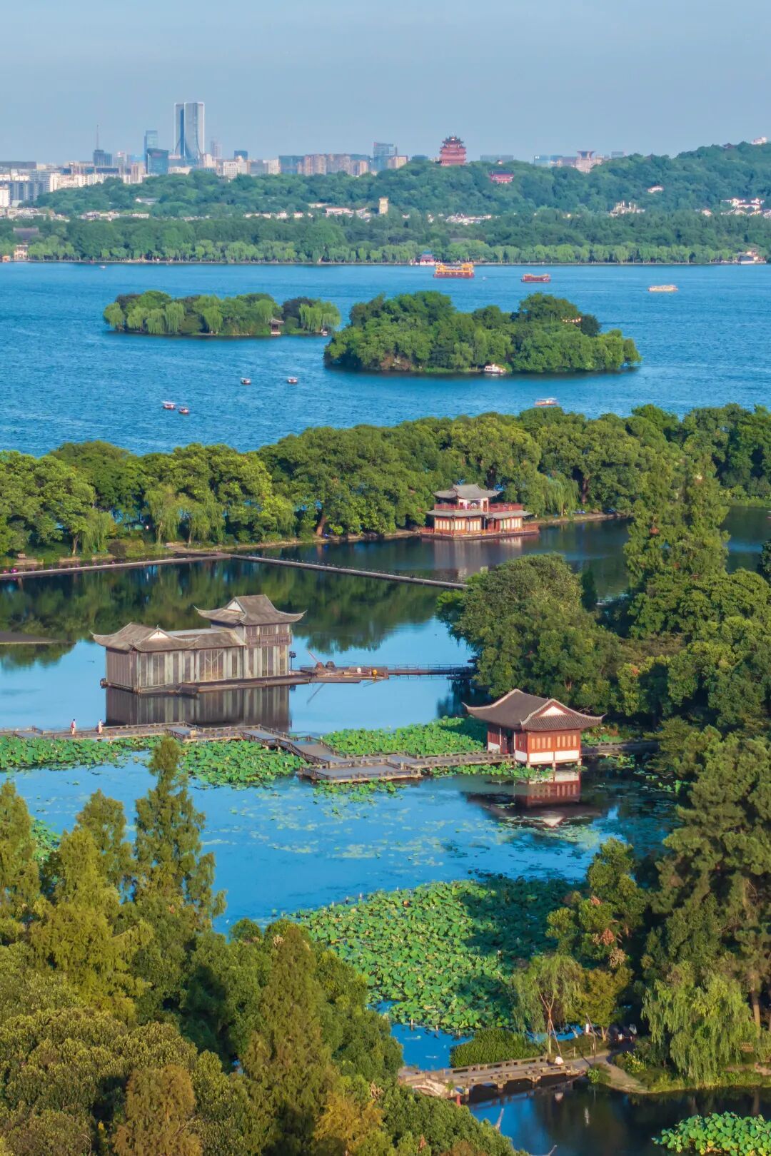 沪港跨境高铁动卧增开啦！杭州出发，睡一觉到香港