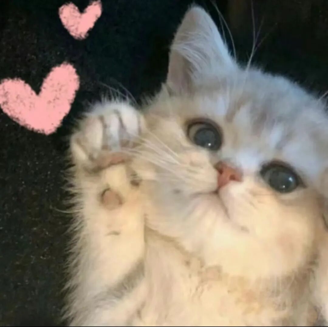 “我是爸妈爷爷奶奶姥姥姥爷……宝女”