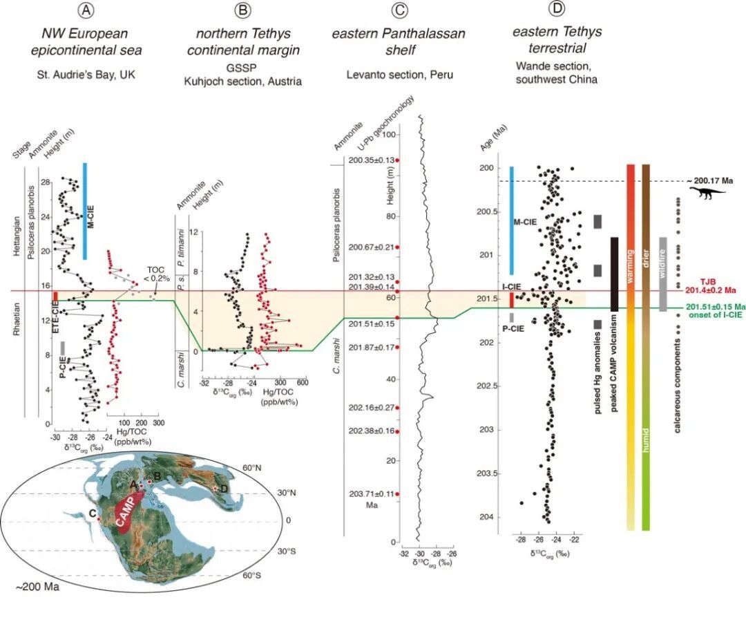 云南恐龙几岁了?云南大学团队首次提供精准年龄 云南恐龙几岁了?云南大学团队首次提供精准年龄